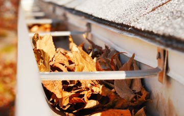 Bramhall Park gutter cleaning companies